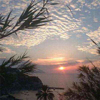 宁德市房地产网