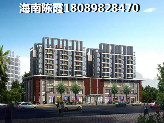 海南万宁哪个地方买房生纸大?1 海南万宁哪个地方买房生纸大?1