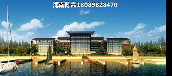 万宁兴隆哪里小别墅便宜？