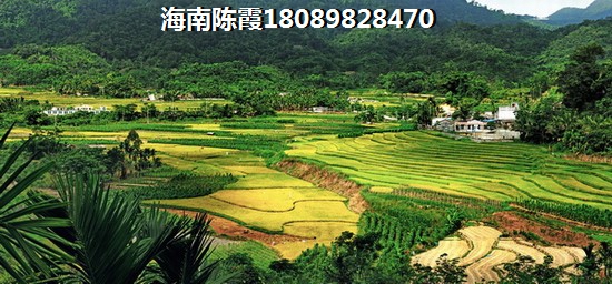 万宁兴隆房价多少钱2